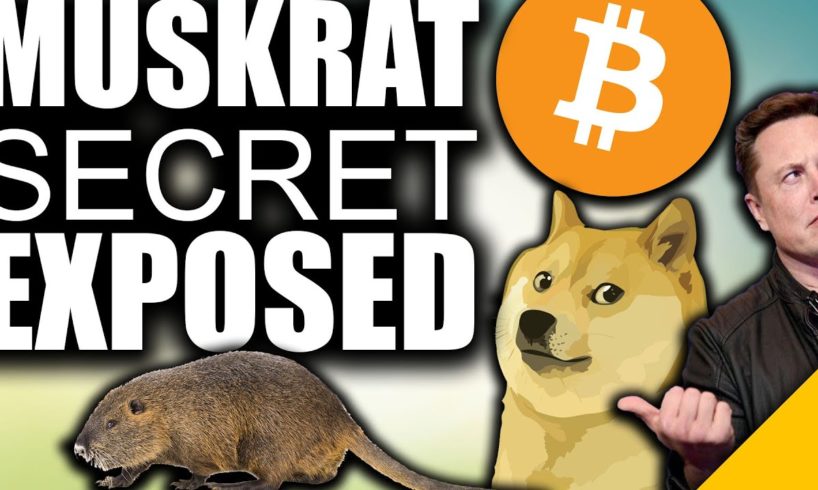 SECRET Crypto Plan EXPOSED (Elon Musk to DUMP Dogecoin for Bitcoin)