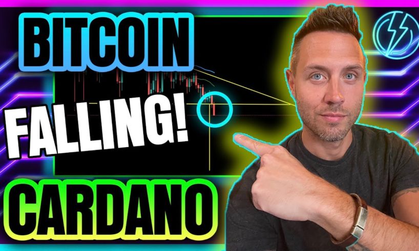 Bitcoin FALLS Through $30k. Cardano Discount INCOMING!