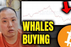 BITCOIN HOLDERS PAY ATTENTION TO WHALES BUYING