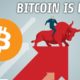 Bitcoin Soars To $40,000 | Are We Just Getting Started?