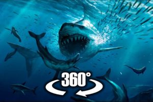 360 VR Video | Secret Underwater World with Sharks, Whales, Mantas 4K