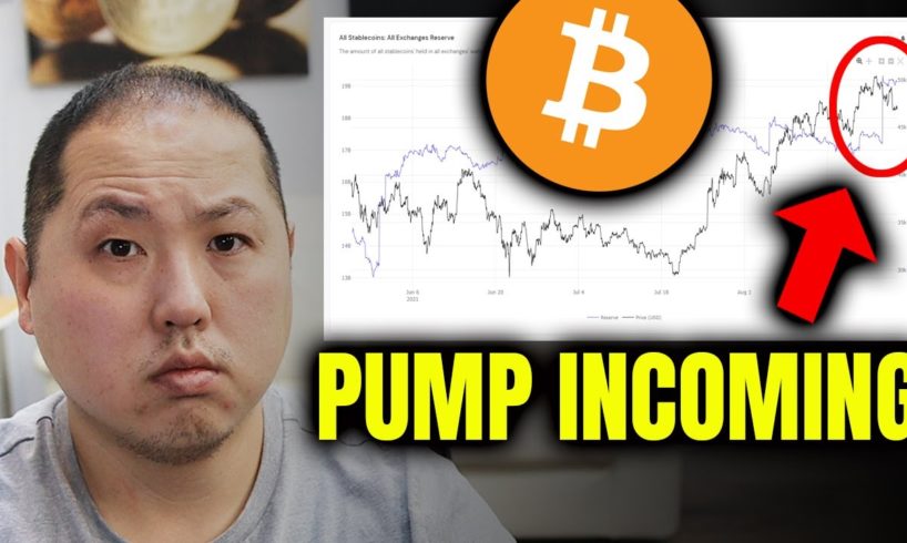 BITCOIN HOLDERS GET READY FOR INCOMING PUMP