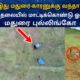Madurai Pullingo - Trending Drone Camera Comedy | T4C