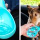 Cute Dog Gadgets And Lovely Crafts For Cats || Genius Pet Hacks That Will Make Your Life Easier
