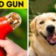 Clever And Funny Gadgets And DIY Ideas To Make Your Pets Happy || Smart Home And Outdoor Tools