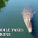 Crocodile takes out drone in Australia