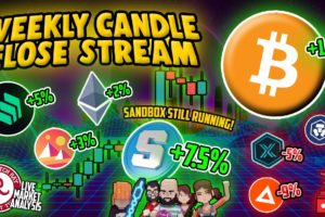 Bitcoin Live : BTC Weekly Candle Close Stream.