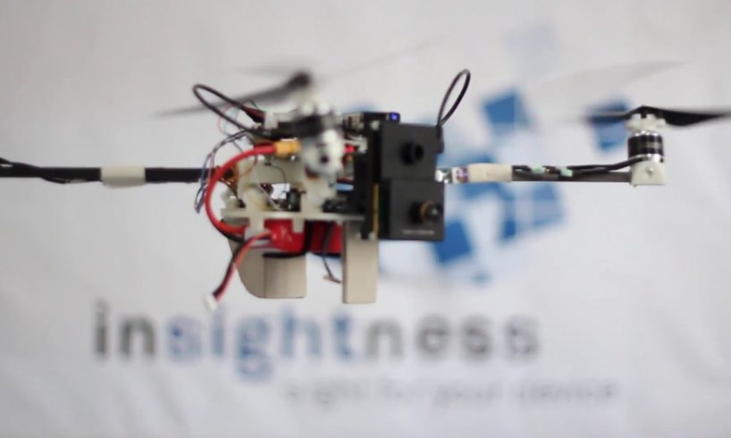 Insightness Collision Avoidance for Drones