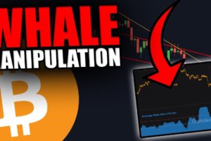 BIG WARNING: THESE BITCOIN WHALES ARE DOING SOMETHING CRAZY
