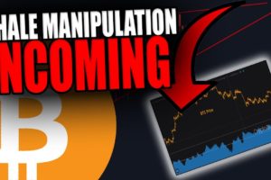 THESE BITCOIN WHALES ARE ABOUT TO MAKE THIS BIG MOVE!
