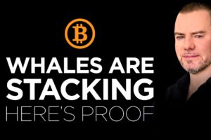 Bitcoin - How Whales Are Stacking while the world is in FEAR