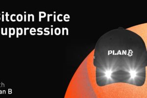 Bitcoin Price Suppression with Plan B (WiM111)