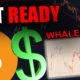 THESE BITCOIN WHALES JUST CHANGED THEIR MINDS [Massive Change Coming...]