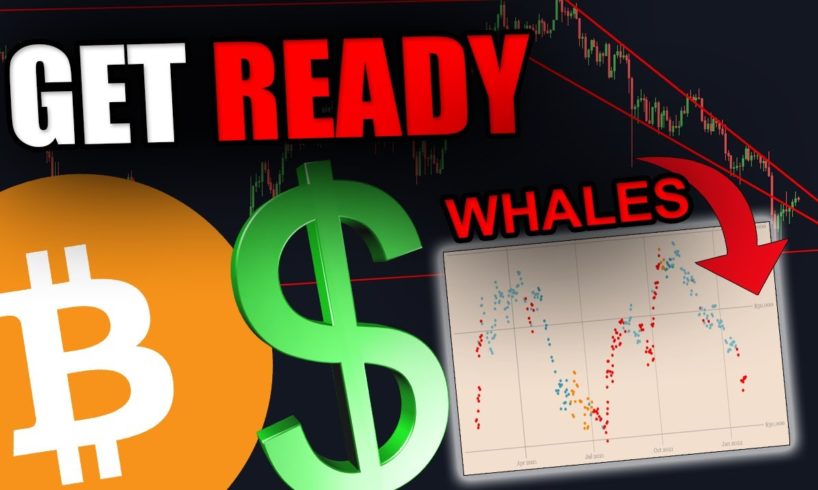 THESE BITCOIN WHALES JUST CHANGED THEIR MINDS [Massive Change Coming...]