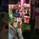 Indian Wedding Video Recording by Drone Camera