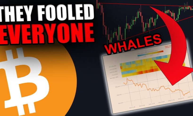 THESE BITCOIN WHALES JUST DID THE UNTHINKABLE!