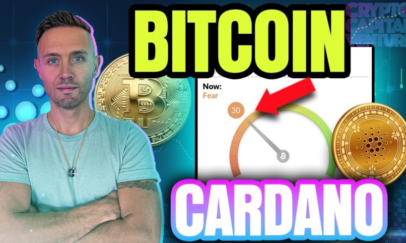 Bitcoin forecast is here - Cardano Price & Support Under Attack