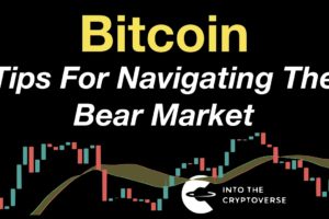 Bitcoin: Tips For Navigating The Bear Market
