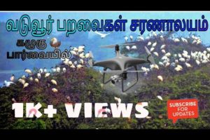 Drone camera|vaduvoor bird sanctuary Tamil nadu-aerial view dji phantom 4 pro