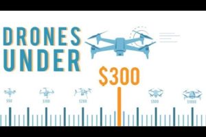 🏆Top 3 Best Drones under $300 in 2019 - Last one is amazing!