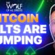 BITCOIN & ALTS ARE PUMPING! WHY AND WHAT'S NEXT?