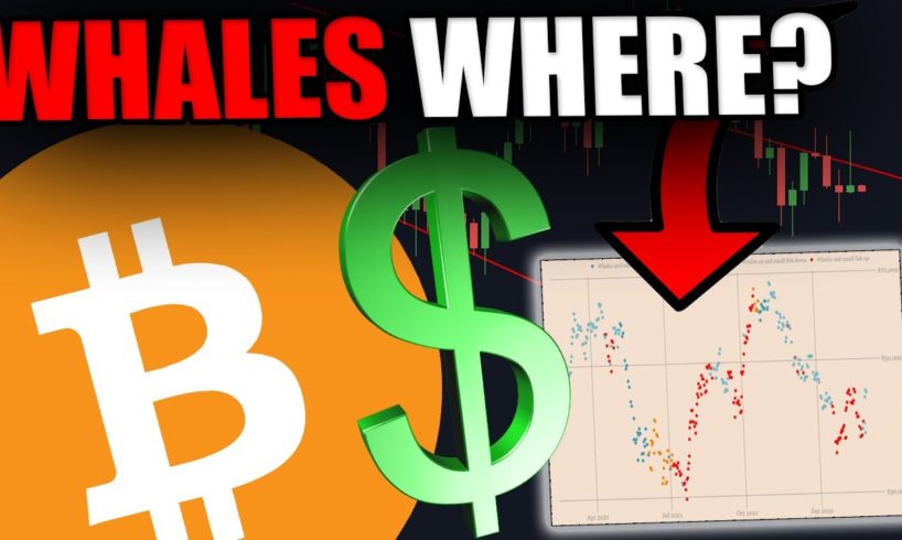 WHY ARE THE BITCOIN WHALES NOT BUYING BITCOIN ANYMORE?