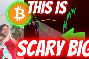 NEW DATA SHOWS BITCOIN BULL MARKET IS ABOUT TO GET EVEN BIGGER THAN YOU COULD IMAGINE!!!