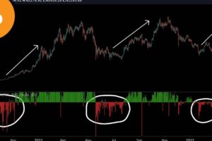 This Chart Confirms Bitcoin Bottomed - Bull Run Will Continue? - Bitcoin Analysis