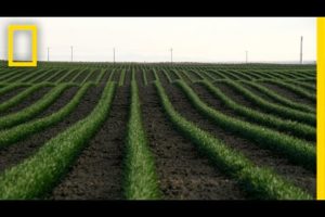 Drones and the Future of Farming | National Geographic