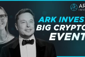 Elon Musk : Bitcoin Is Destroying Stocks This Year! Crypto News Today