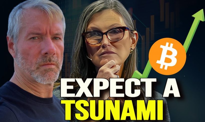 The Coming Bitcoin Bounce Will Be Epic - Michael Saylor & Cathie Wood