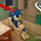 VR 360° SONIC stole my red PANTIES!/ Sonic in real life on camera