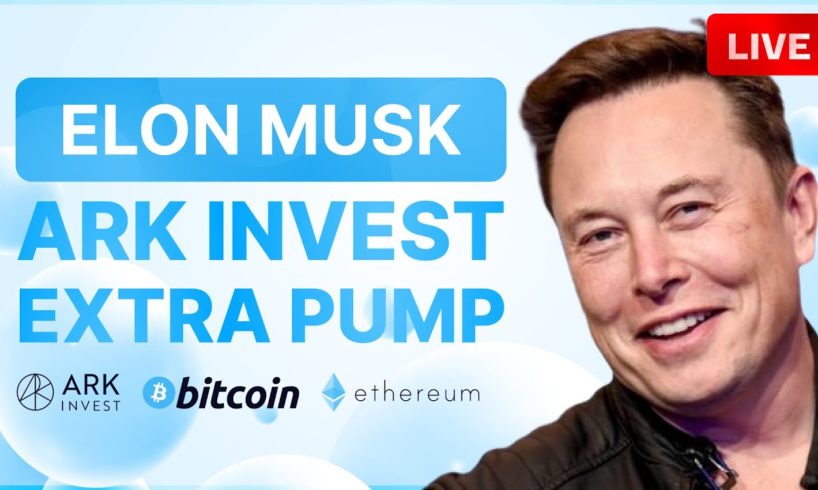 Elon Musk Makes A Final Push To End Twitter Censorship! BITCOIN TO JUMP 70%  Btc Cryptocurrency News