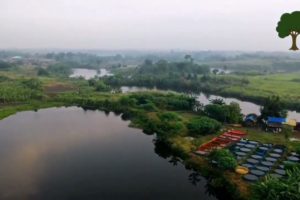 village view with drone camera  #village #punjabdrone #videographydrone #video pakistan