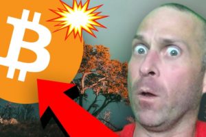 WILL BITCOIN PRICE RECOVER OR CRASH AGAIN???