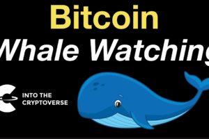 Bitcoin: Whale Watching