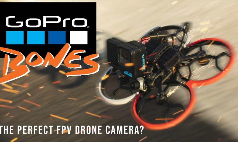 GoPro Bones. What is this FPV Drone Camera?