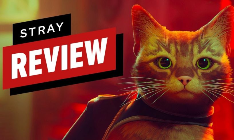 Stray Review