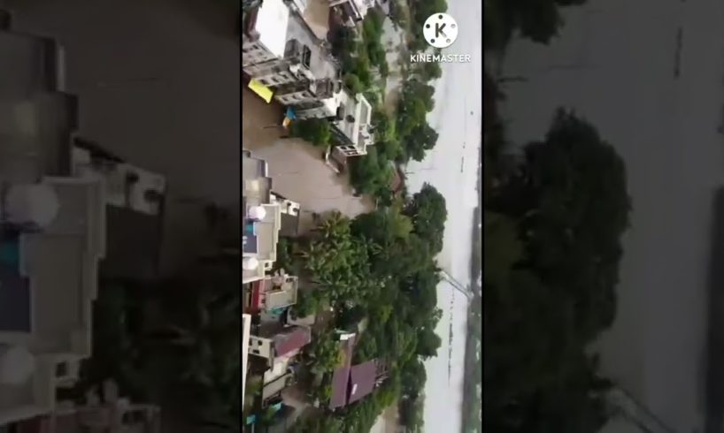 Baroda and Bodelii  Varshad View in drone Camera 📸 Short