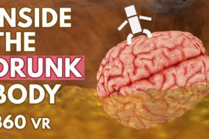 What Happens Inside Your Drunk Body? - VR 360°