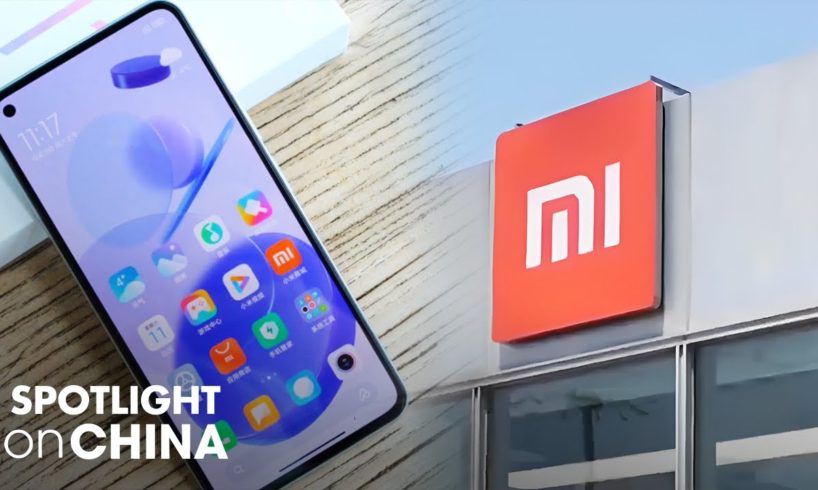 Xiaomi smartphone slump: Experts reveal the reasons why