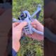 How to fly a drone | #Shorts