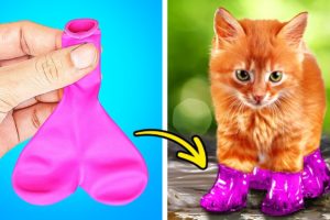 CUTE TIKTOK PET HACKS | CLEVER GADGETS AND FUNNY CRAFTS