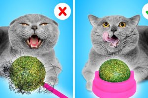 Must-Have GADGETS for your CAT! How to Sneak Pets from Parents by La La life Games