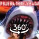 360 VIDEO - The Shark Attack in Virtual Reality!