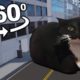 360° Maxwell The Cat CHASES YOU in VR/4K