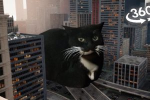 360° GIANT Maxwell Cat in center of New-York SOS... | VR Video 4K