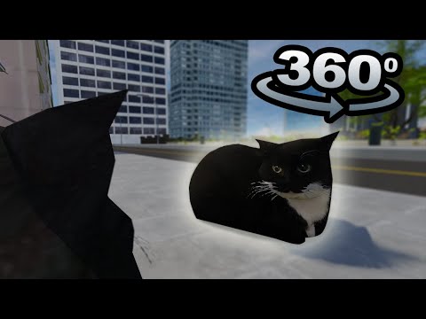 360° YOU ARE The Maxwell The Cat in VR/4K