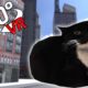 360° Maxwell The Cat CHASES YOU in VR/4K