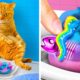 Crazy GADGETS for PET OWNERS! DOG vs CAT GADGETS and HACKS from TikTok by La La Life Games